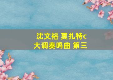 沈文裕 莫扎特c大调奏鸣曲 第三